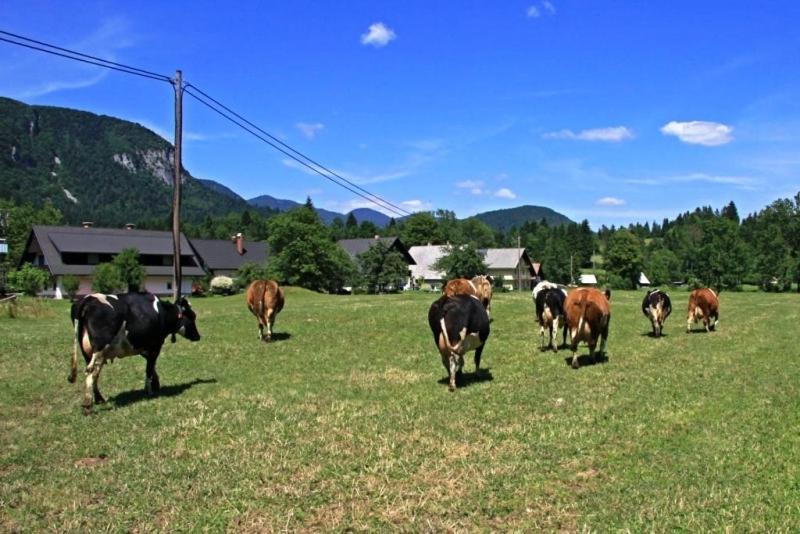 Farmhouse Soklic Bohinji-tó Kültér fotó