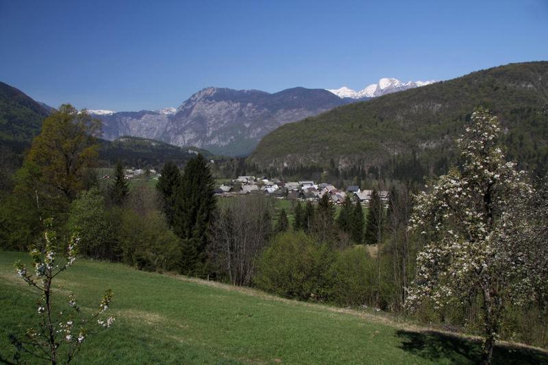Farmhouse Soklic Bohinji-tó Kültér fotó