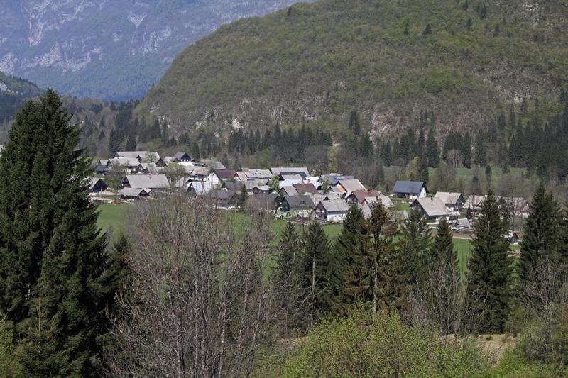 Farmhouse Soklic Bohinji-tó Kültér fotó