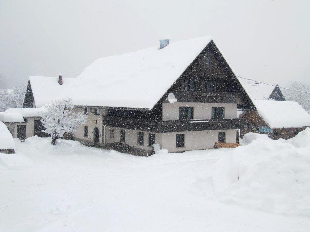 Farmhouse Soklic Bohinji-tó Kültér fotó